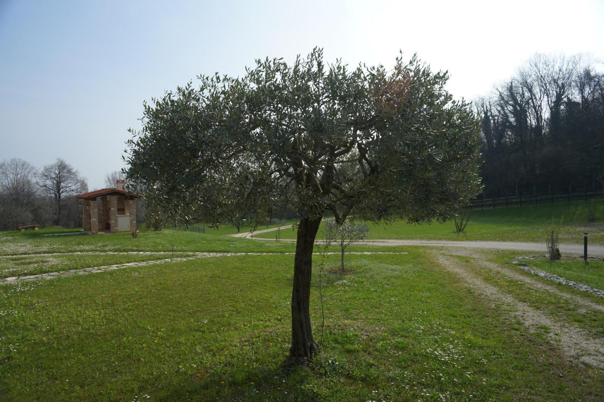 Nikolas' Valley Cornuda Extérieur photo